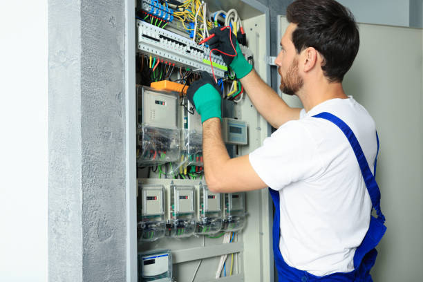 Best Electrical System Inspection  in Nashua, IA